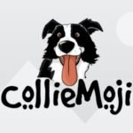 CollieAI