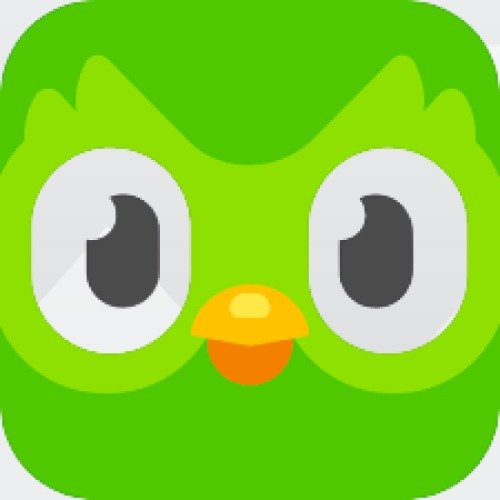 .duolingo