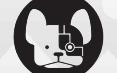 CodeAmigo