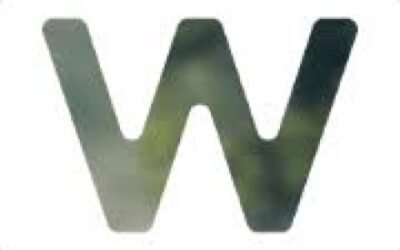 Wordware App
