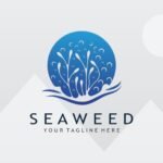 Seaweed Video