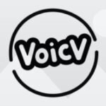 Voicv AI