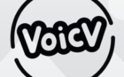Voicv AI