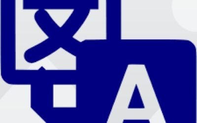 VidTranslate